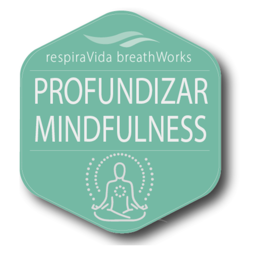 Profundizar mindfulnss