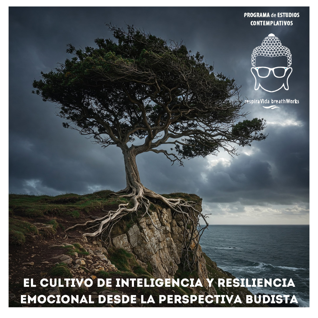 curso de resiliencia